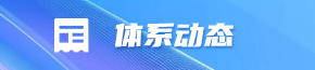 体系动态