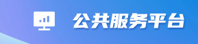 公共服务平台